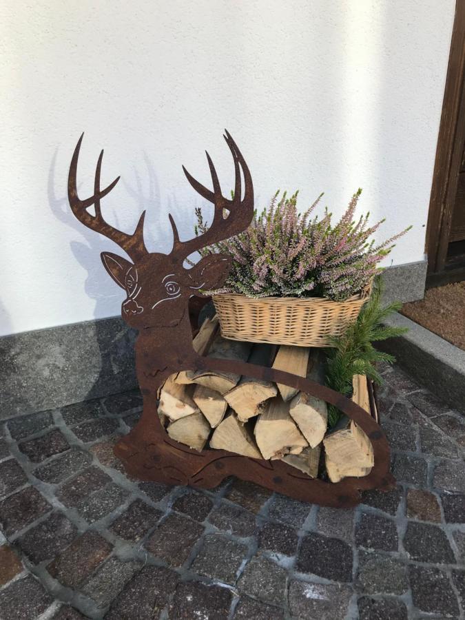 Hotel Ciasa Nonna Bon Bon Cortina d'Ampezzo Exterior foto